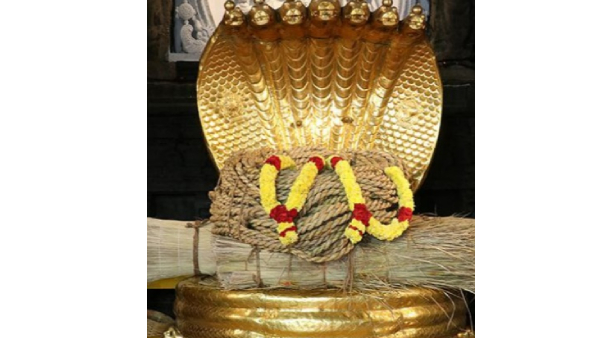 Specialities of holy Darbha mat and rope used for Srivari Salakatla Brahmotsavam at Tirumala Specialities of holy Darbha mat and rope used for Srivari Salakatla Brahmotsavam at Tirumala