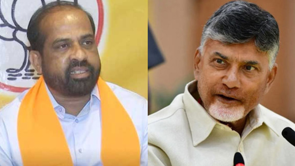  satya kumar chandrababu