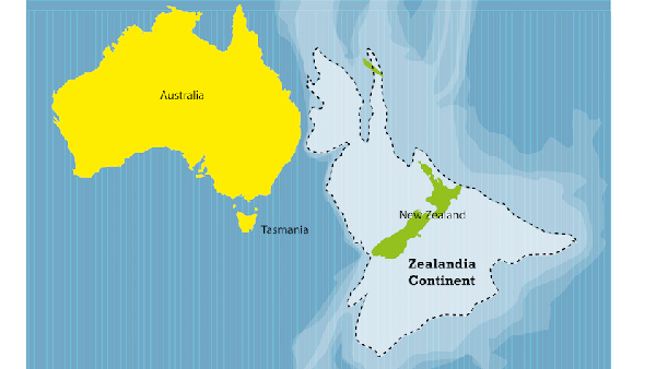 scientists found the mysteries of zealandia