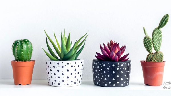 Teachers Day 2023 Teachers Day 2023