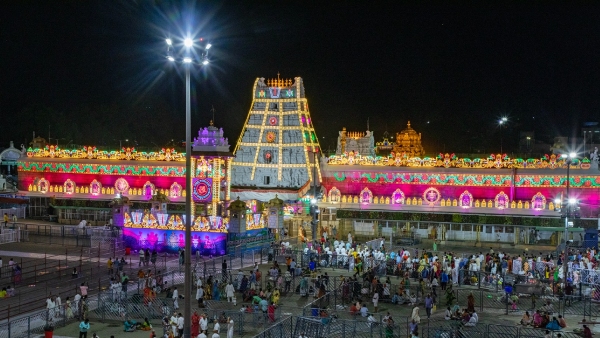 Sri Malayappa Swamy posed majestically as Rajamannar blessed His devotees on Kalpavruksha Vahanam 