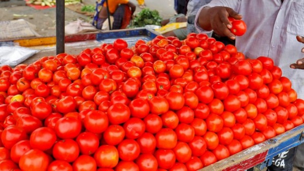  tomato farmers 