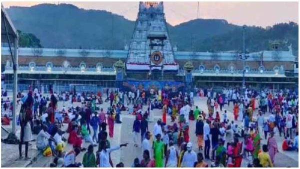 ttd tender cum auction of clothes