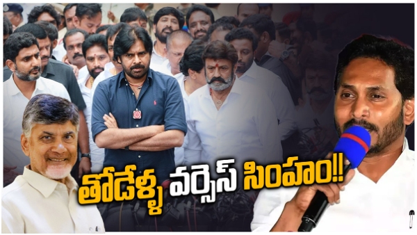 2024 AP elections will be like wolves vs lions: YCP MP Vijayasai Reddy