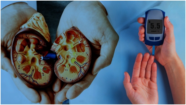 diabetes damage to heart and kidneys