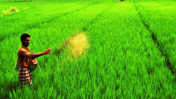 The Union Cabinet has increased the support price for six crops