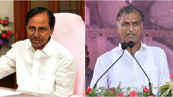 Telangana milk quail KCR: Minister Harish Rao interesting comments 