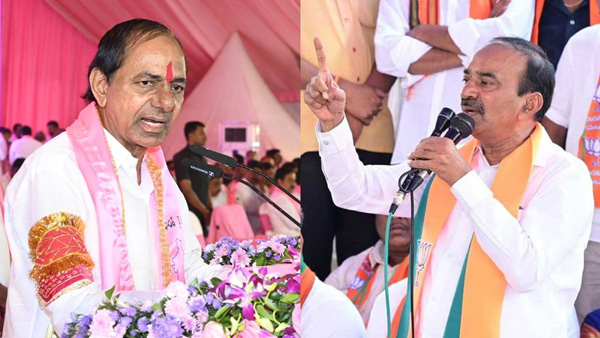 Etela Rajender Election Campaign in Gajwel: Hits out at kcr government