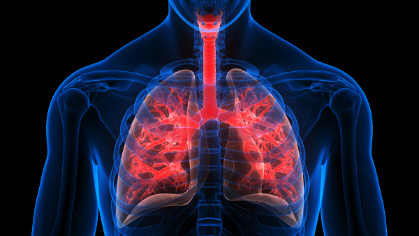 lungs to be healthy take this drink