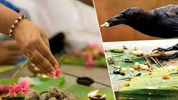  Mahalaya Amavasya.. If you dont do this work to ancestors you will be cursed!!