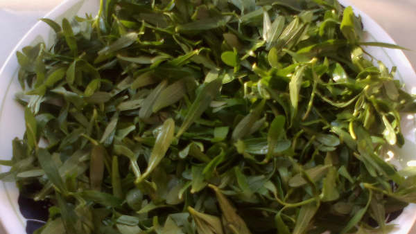 ponnaganti curry health benefits and uses