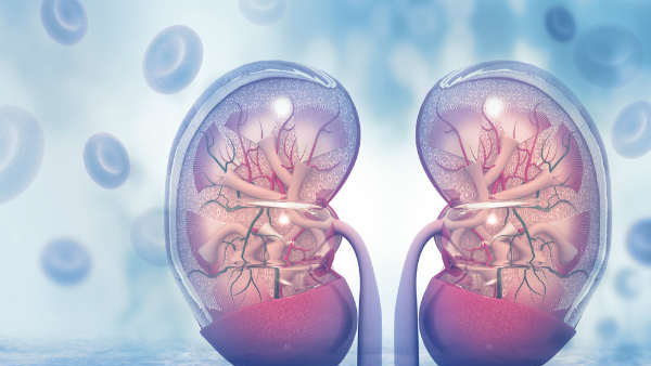 take these food for kidney health
