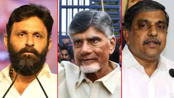 ysrcp reaction on chandrababu release from jail, ask why celebrations for interim bail?