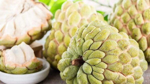 health tips: Did you know these facts about custard apple? health tips: Did you know these facts about custard apple?