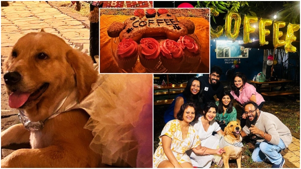  Nikhil Heroine celebrated the birthday of a pet dog..