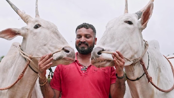 Representatives of NGOs allege that the arrest of Bigg Boss contestant Varthur Santhosh is suspicious. Representatives of NGOs allege that the arrest of Bigg Boss contestant Varthur Santhosh is suspicious.