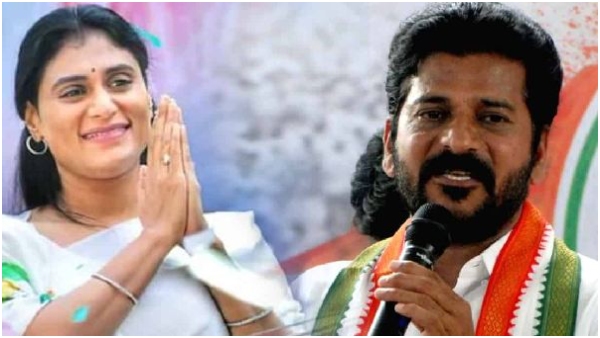 YS Sharmila likely ot contest from Kodangal against Revanth Reddy in next Elections