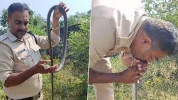 Snake had heart attack... Constable did CPR..