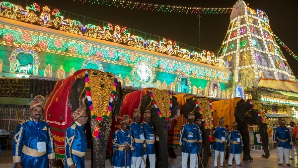 Srimalayappa Swamis comment on Gajavahanam in Tirumala Brahmotsavam