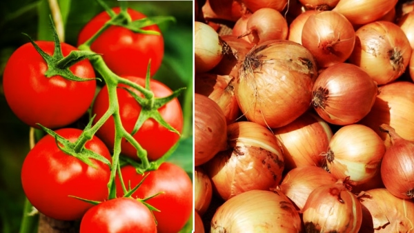 tomato and onion price hike