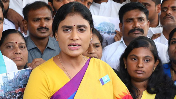 Sharmila is ready to fight alone...