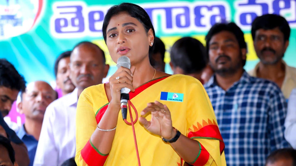 Ponguleti Srinivasa Reddy to field from Congress against YS Sharmila at Palair