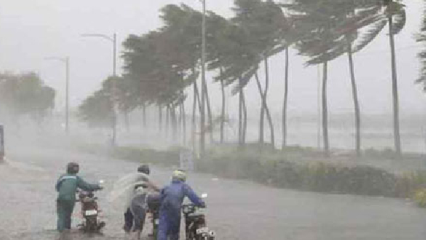 Moderate rain has expected in these 9 districts of Andhra Pradesh including Tirupati