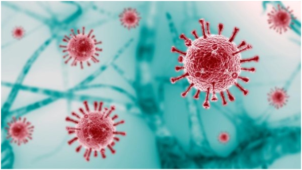 Chinas new virus that is disturbing the world