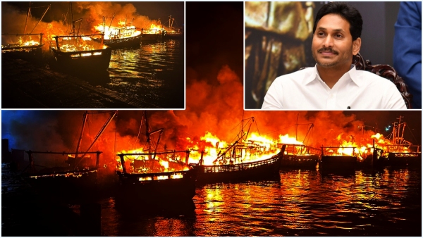 Government Aid at Sea: Fisheries Minister Issues Compensation Cheques of worth 7.11cr to Boat Owners