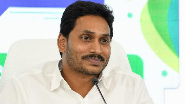 social media war behind reasons for tdp chief chandrababu bail
