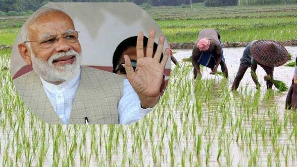 The 15th installment of the PM Kisan Yojana for the quarter of August to November to be Release in this month