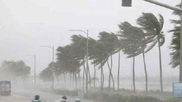 Heavy downpour is expected in many parts of andhra pradesh Heavy downpour is expected in many parts of andhra pradesh