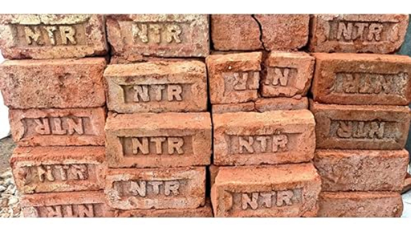 Hero Tarak Fan uses NTR name Bricks for House Construction in Kurnool, Goes Viral
