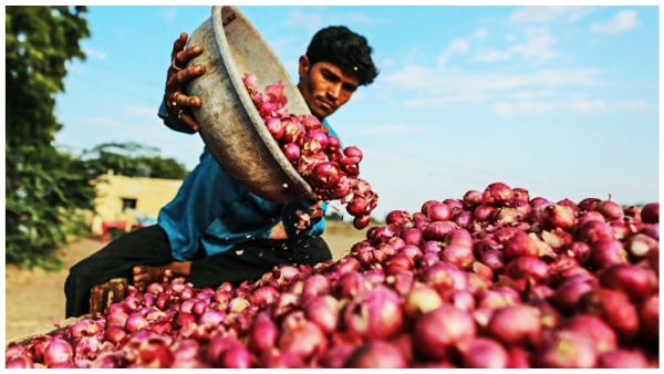 The price of onion in the country has doubled within a week