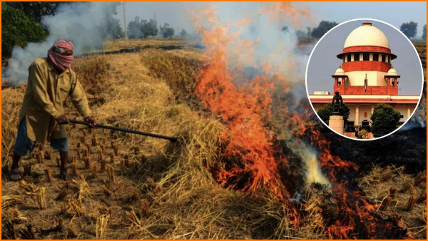 As the pollution in Delhi is increasing, the Supreme Court has ordered to stop the burning of crop waste immediately