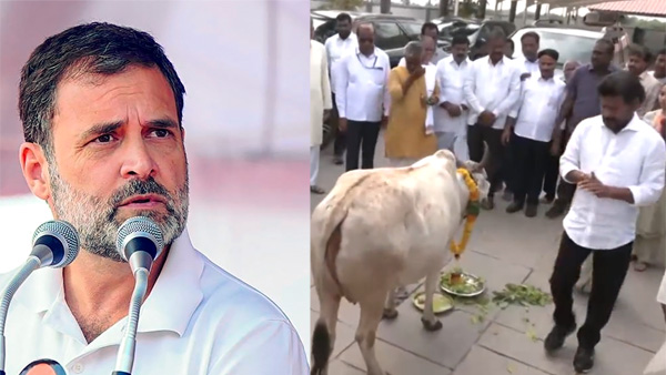 Rahul Gandhi interesting tweet to the voters of Telangana.. Revanth Reddy did gopuja and voted!!