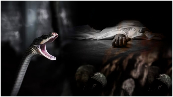 The husband left the snake in the room and killed his wife and child.