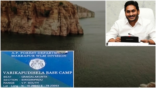 CM YS Jagan set to lay foundation stone for Varikapudisela lift irrigation project on Nov 14 CM YS Jagan set to lay foundation stone for Varikapudisela lift irrigation project on Nov 14