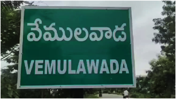 Who are the people of Vemulawada going to elect as MLA?