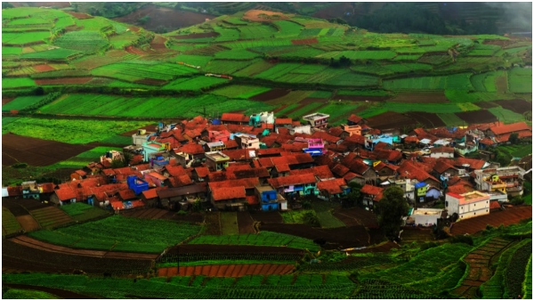 These villages in Tamil Nadu... have been away from fireworks since 22 years... These villages in Tamil Nadu... have been away from fireworks since 22 years...