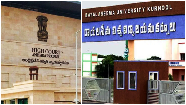 ap high court non bailable warrant to rayalaseema universy vc, registrar in contempt case 