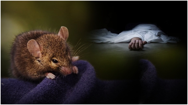  Child dies due to rat bite.