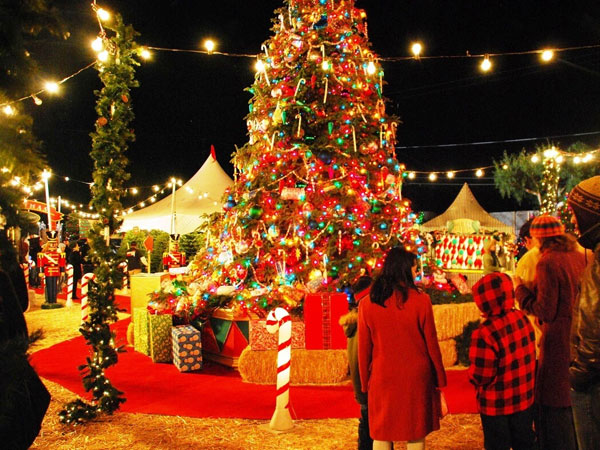 Christmas celebrations were organized under the aegis of Telugu Association of London