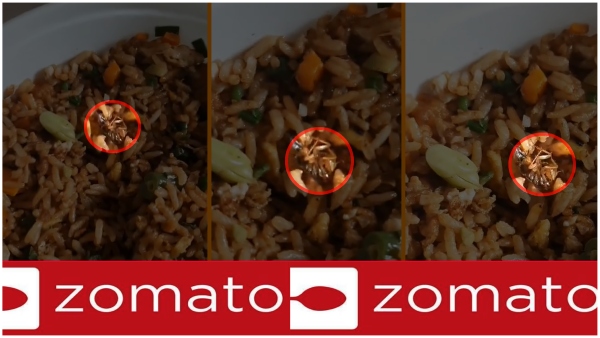 Cockroach in fried rice... Shocked customer... Zomato responded.. Cockroach in fried rice... Shocked customer... Zomato responded..