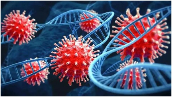 Alerts for Ayyppa Devotees amid a rising number of virus cases in Kerala