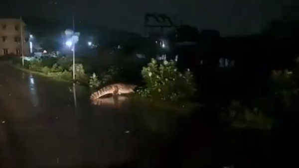  Cyclone Miachuang: Chennai submerged after very heavy rain 