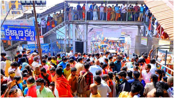 Devotees rush in Vemulawada temple: 4 hours time will take for darshan!! 