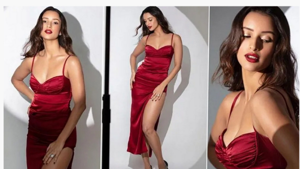 tripti dimri will act in tollywood movie