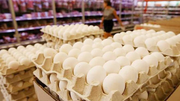 The prices of Eggs have increased drastically in the state