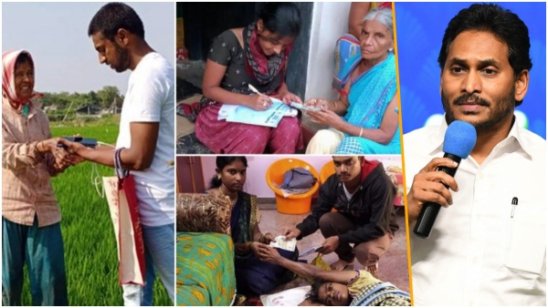 Jagan govt said good news to the volunteers!! Jagan govt said good news to the volunteers!!